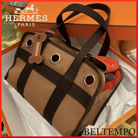 hermes pet accessories online